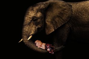 Artistic newborn portrait with dark burlap wrapping and dramatic lighting.