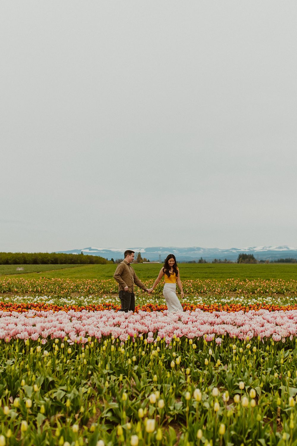 A couple walks hand in hand through a colorful tulip field on an overcast day.