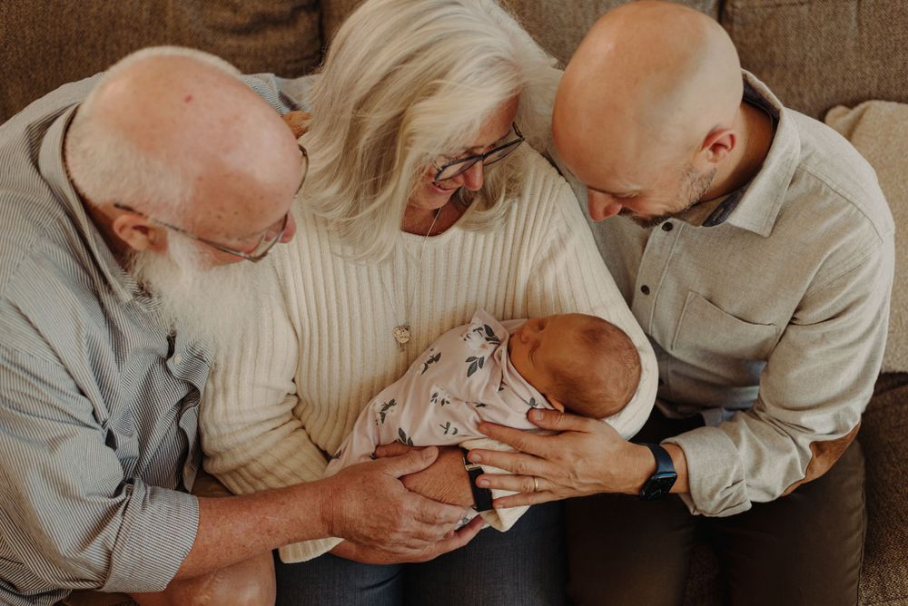 foothills conifer bailey pine evergreen newborn photographer