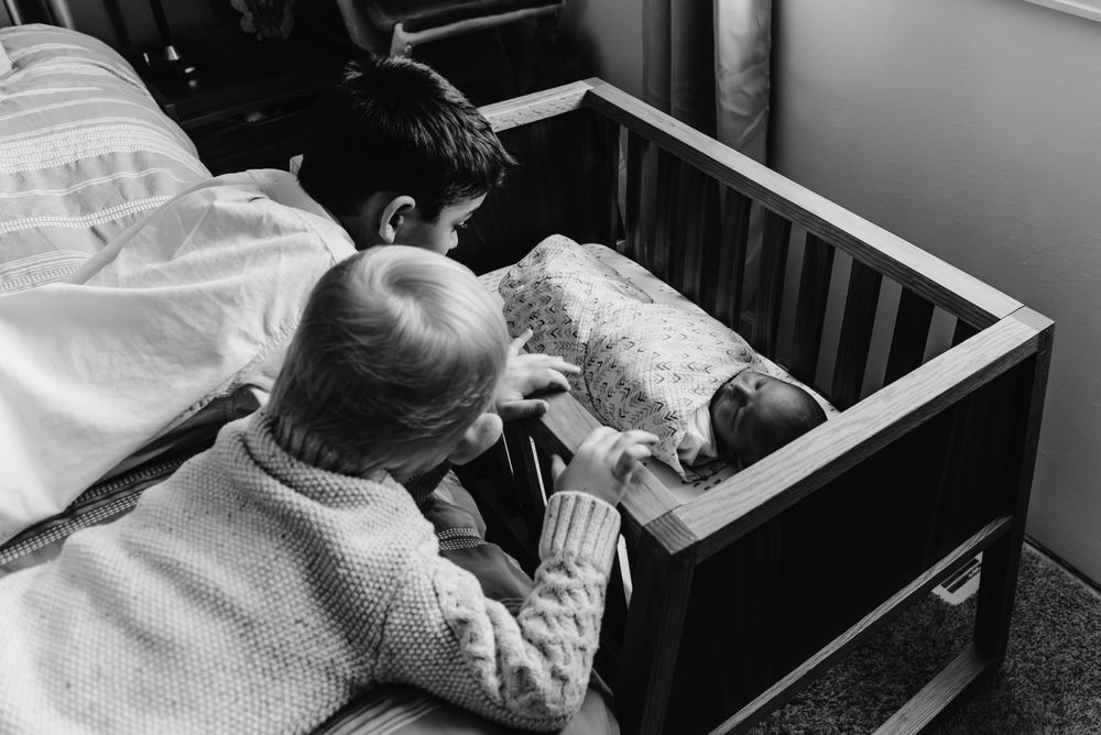 foothills conifer bailey pine evergreen newborn photographer
