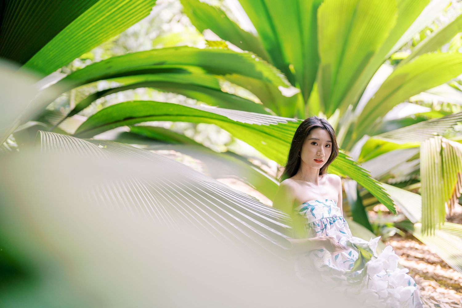 Sunlit tropical garden setting with large green leaves framing a romantic scene.