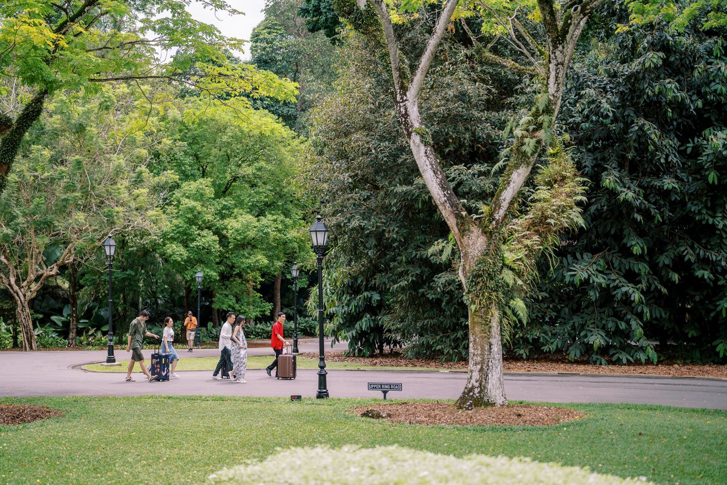 People walking along a tree-lined path in a lush green park on a sunny day.