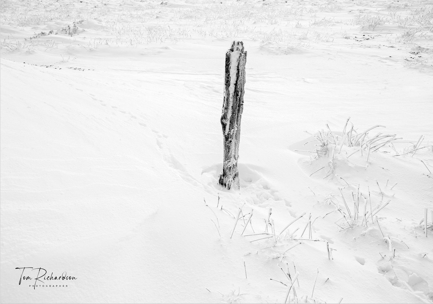 Tracks in the snow near Brown Syke on Mallowdale Fell