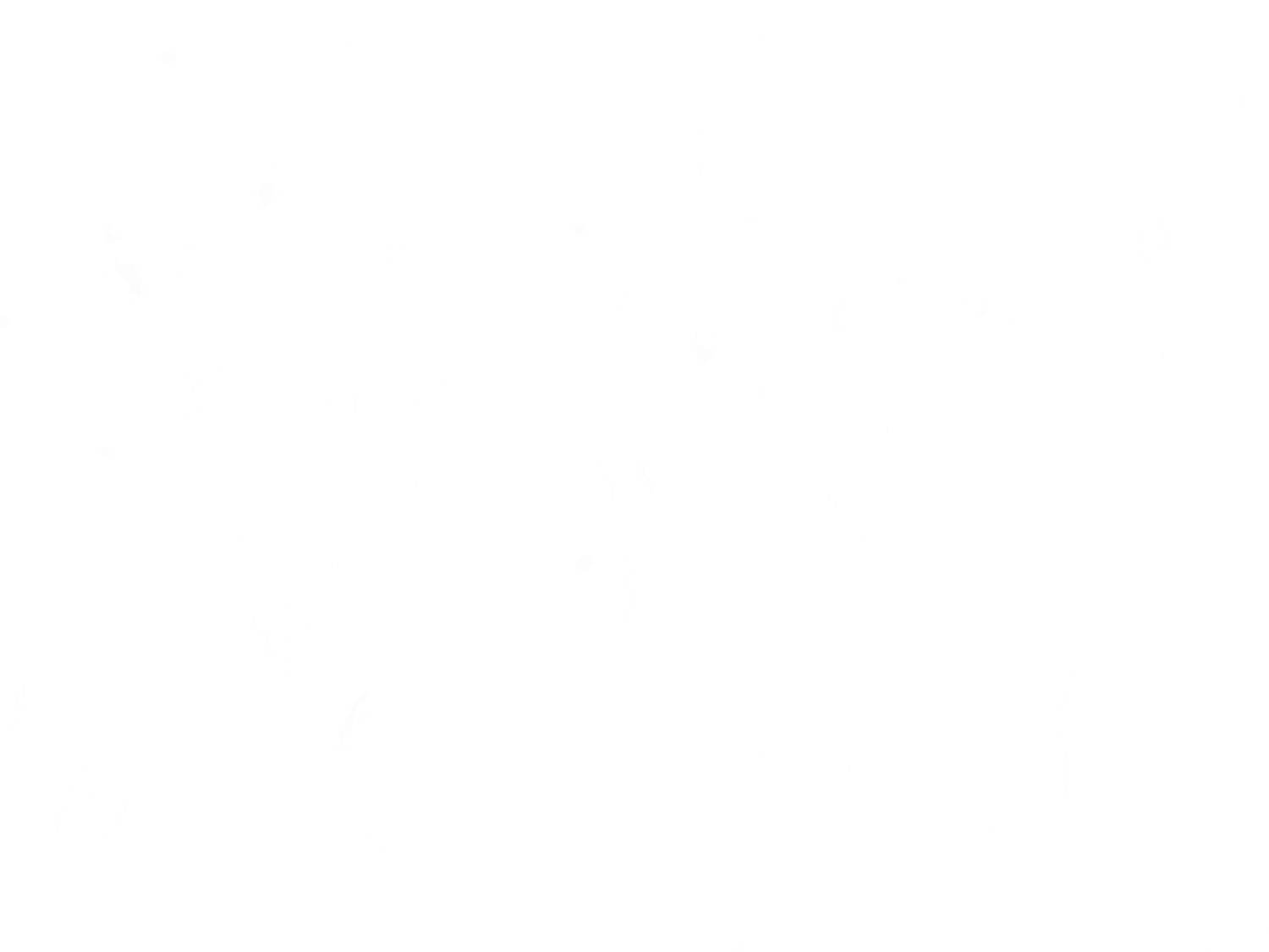 Black background with scattered white bokeh light effect dots.