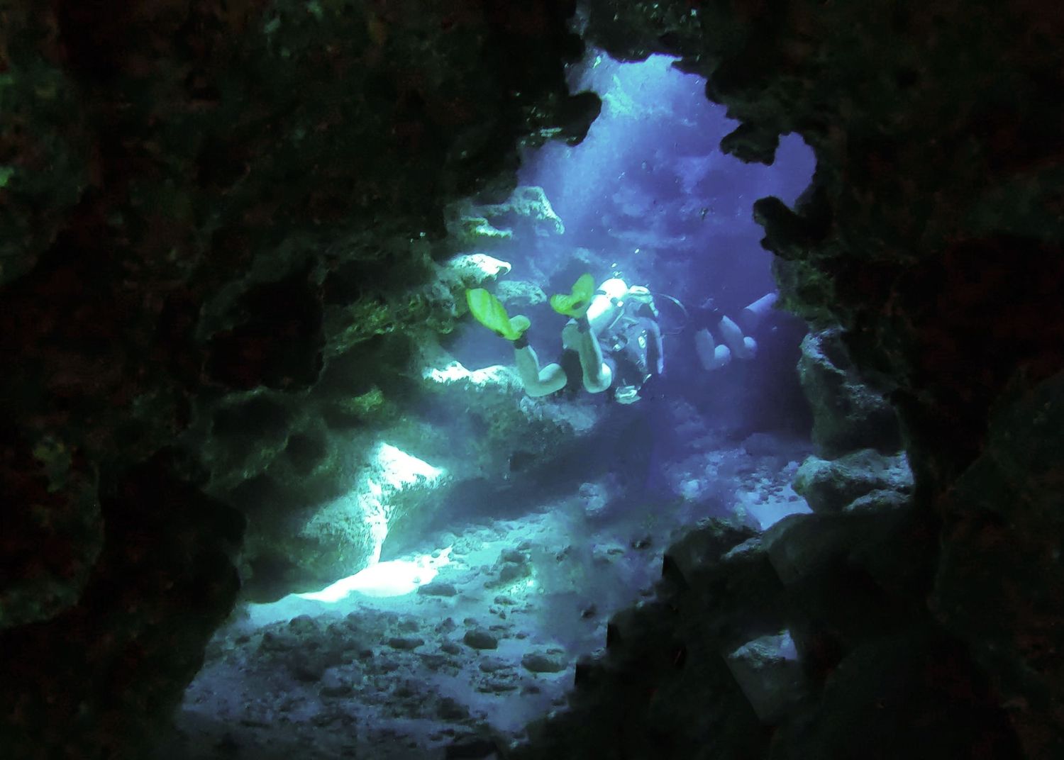 An underwater adventure photo showing scuba divers for the website WhiteFlamingoPhotos.com