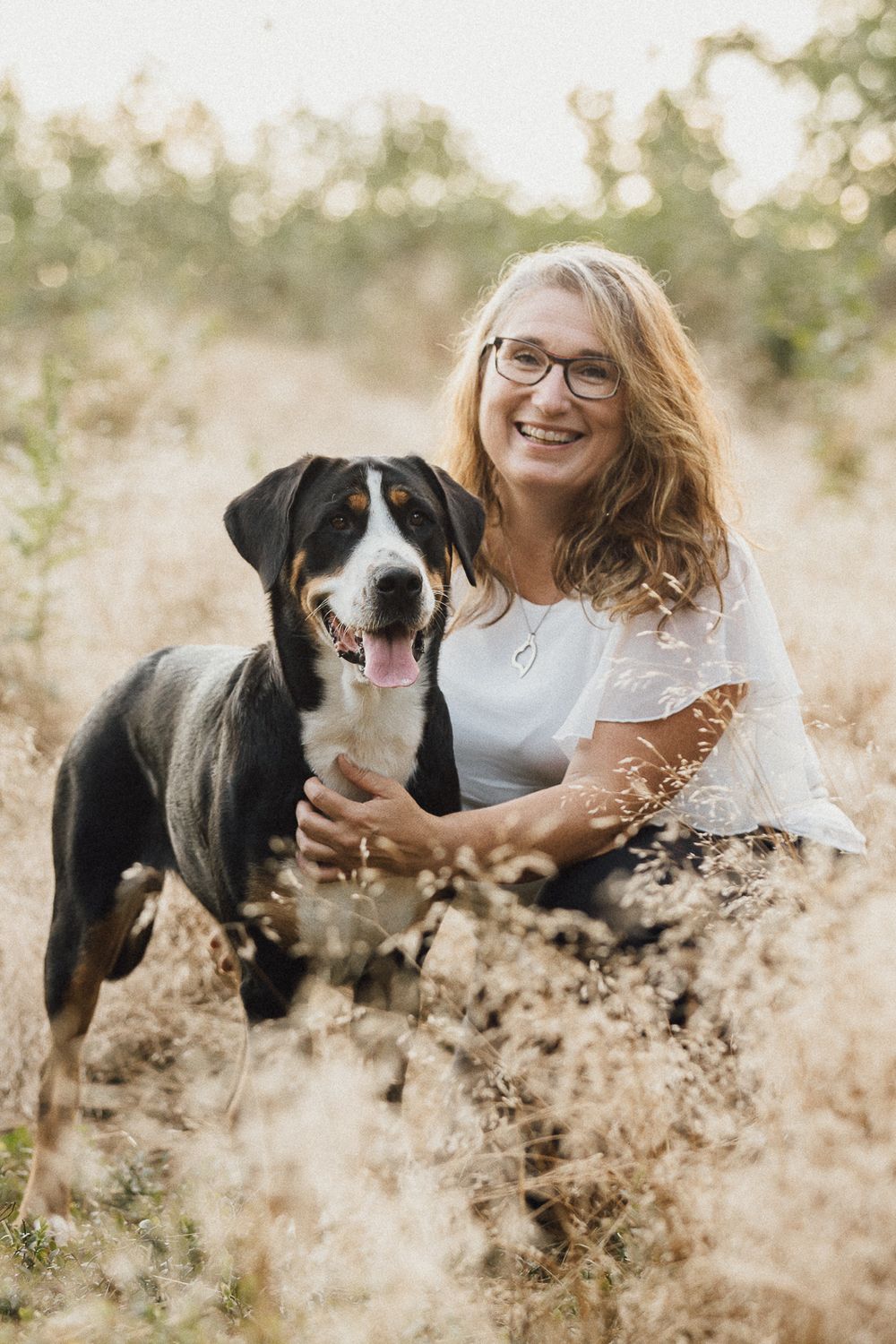 Hundefotos Hundefotoshooting Birgit Stummer Fotografie Oberösterreich Fotoshooting Gutscheine Gutschein Grosser Schweizer Sennenhund