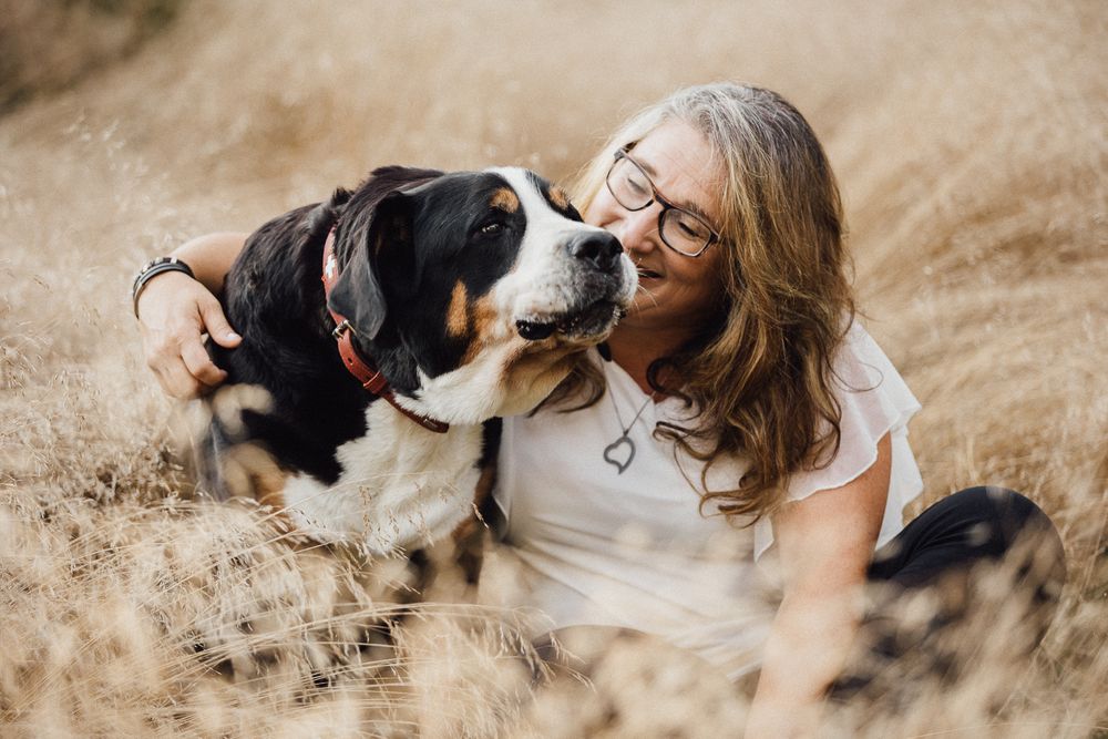 Hundefotos Hundefotoshooting Birgit Stummer Fotografie Oberösterreich Fotoshooting Gutscheine Gutschein