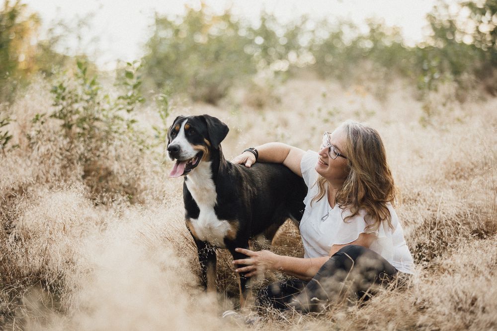Hundefotos Hundefotoshooting Birgit Stummer Fotografie Oberösterreich Fotoshooting Gutscheine Gutschein Grosser Schweizer Sennenhund