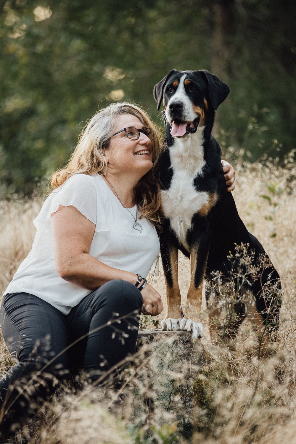 Hundefotos Hundefotoshooting Birgit Stummer Fotografie Oberösterreich Fotoshooting Gutscheine Gutschein Grosser Schweizer Sennenhund