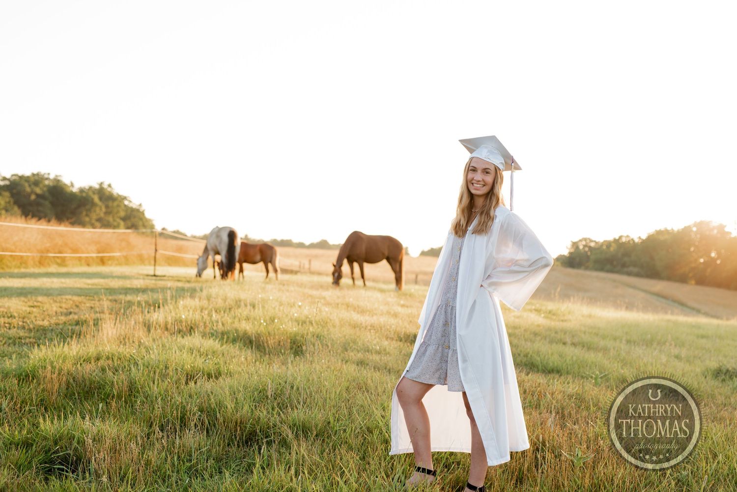 A graduation photoshoot in a pastoral field with horses during golden hour sunset.
