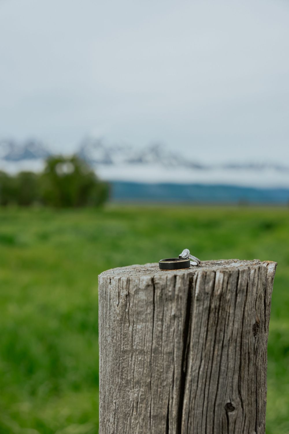 Wedding rings placed on a weathered wooden post with mountains and green fields in the background.