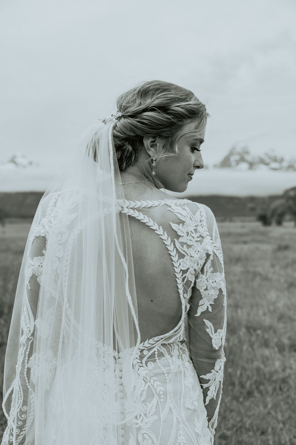 Detailed back of a lace wedding gown with sheer panels and flowing veil against pastoral landscape.