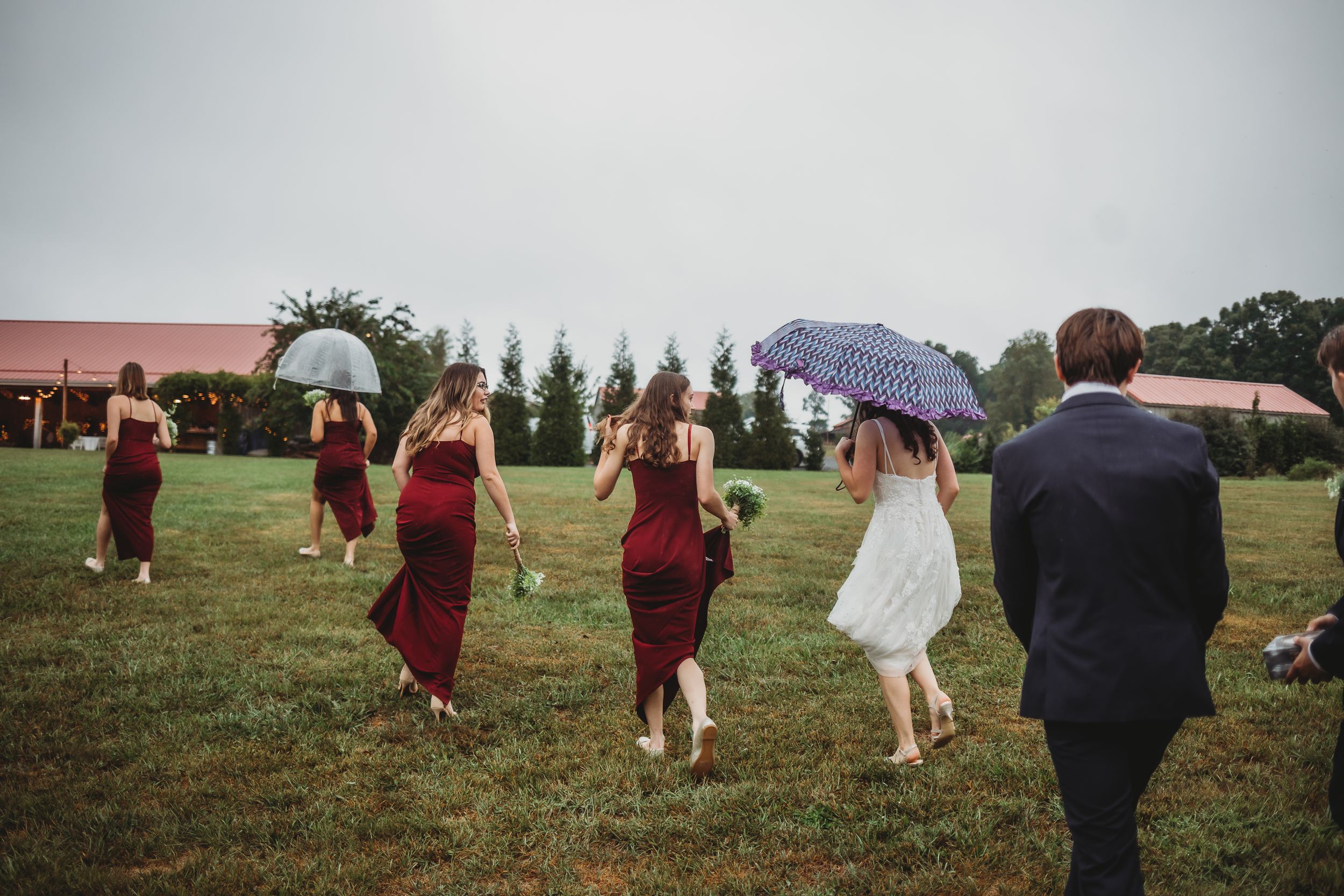 Wedding party members with umbrellas walk through rain on grassy field.