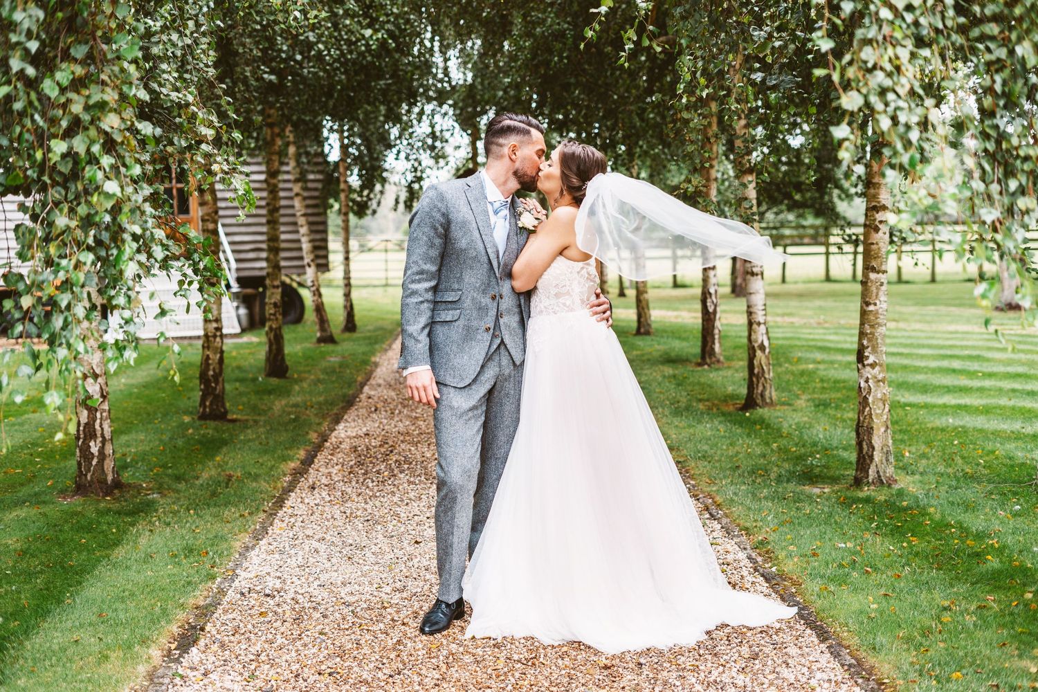 Newlyweds share intimate moment on tree-lined path with white birch trees and gravel walkway.