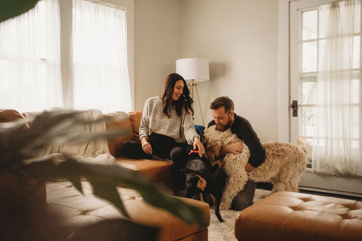Two dogs and their owners relax together on a cozy brown leather couch in a sunlit living room.