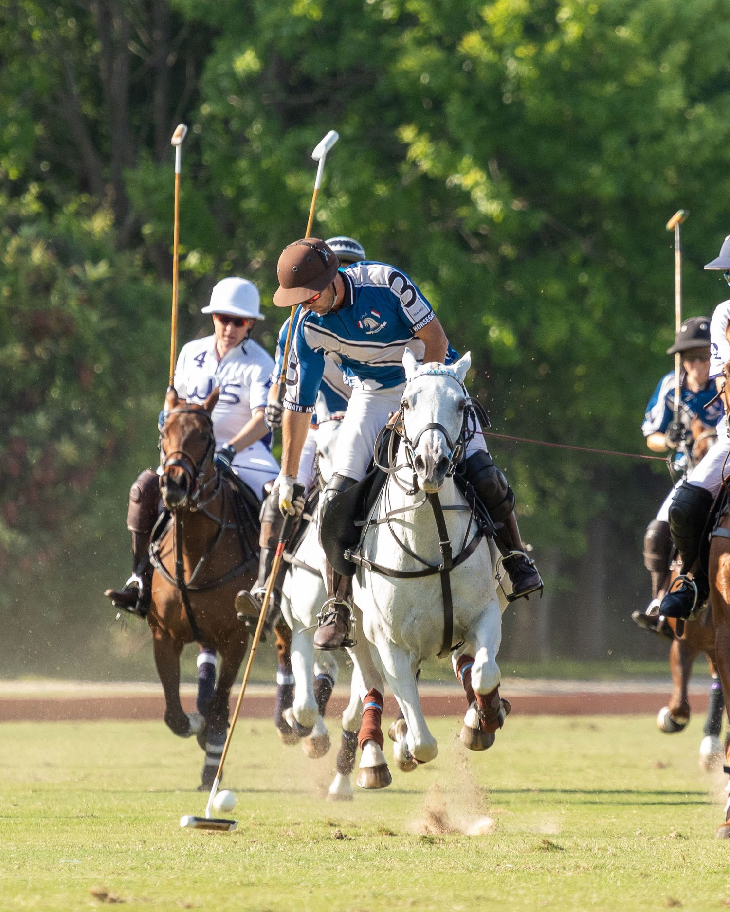 Polo