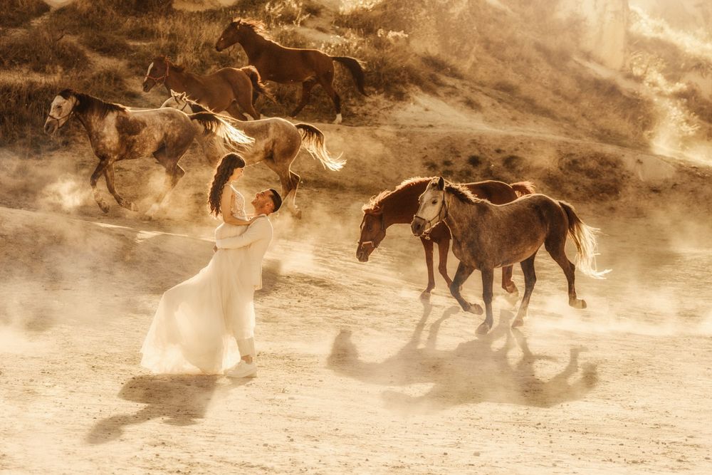 Wild horses running through dusty terrain creating dramatic motion effect.