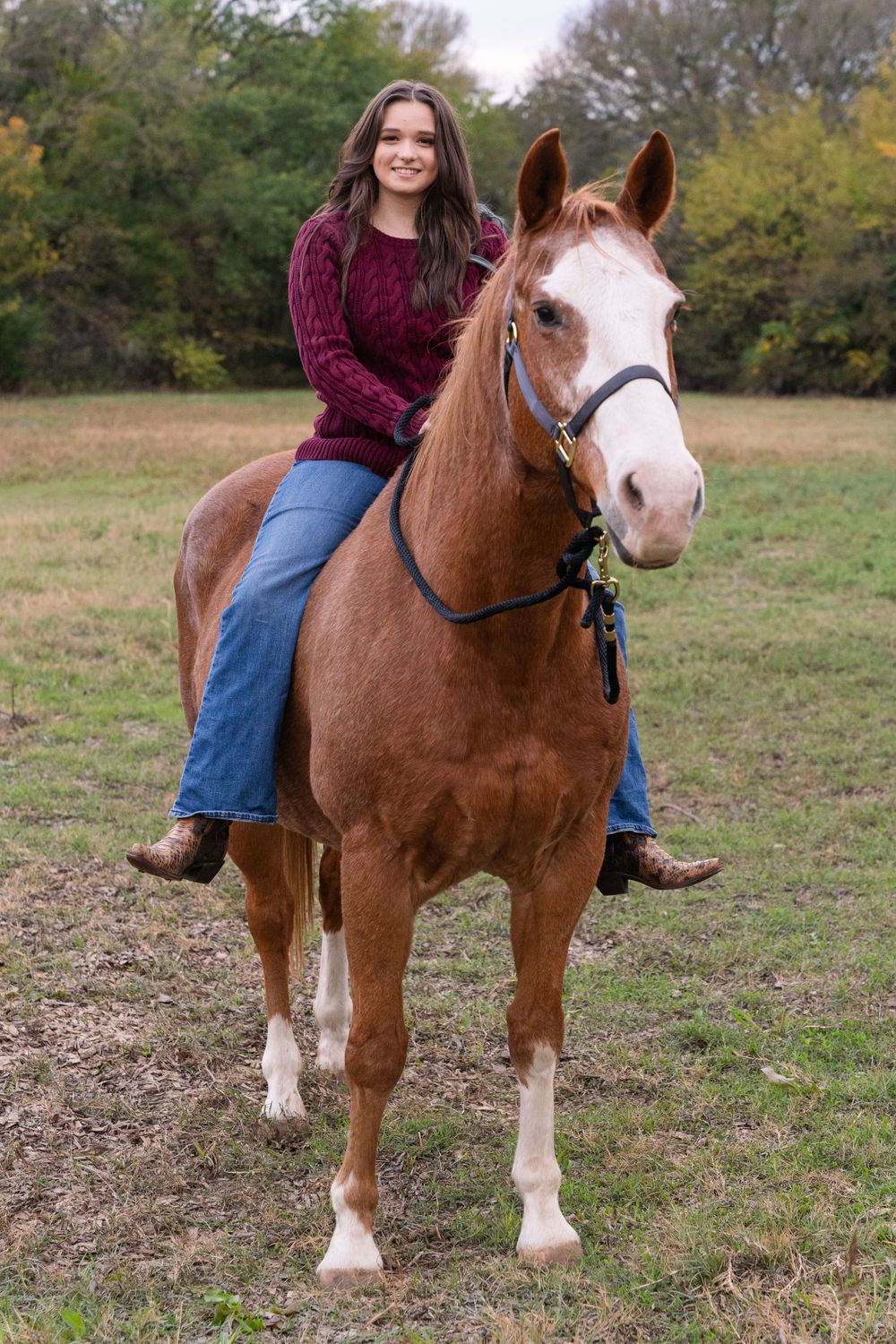 Horse photoshoot in DFW, Texas. Brown horse in a field faces camera while a girl in a purple sweater sits on his back and smiles.