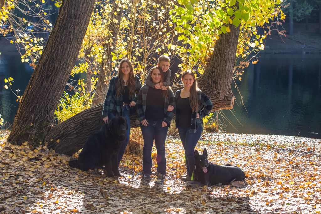 dogs, fall colors, siblings, gunnii sack photography, white pines lake, arnold ca