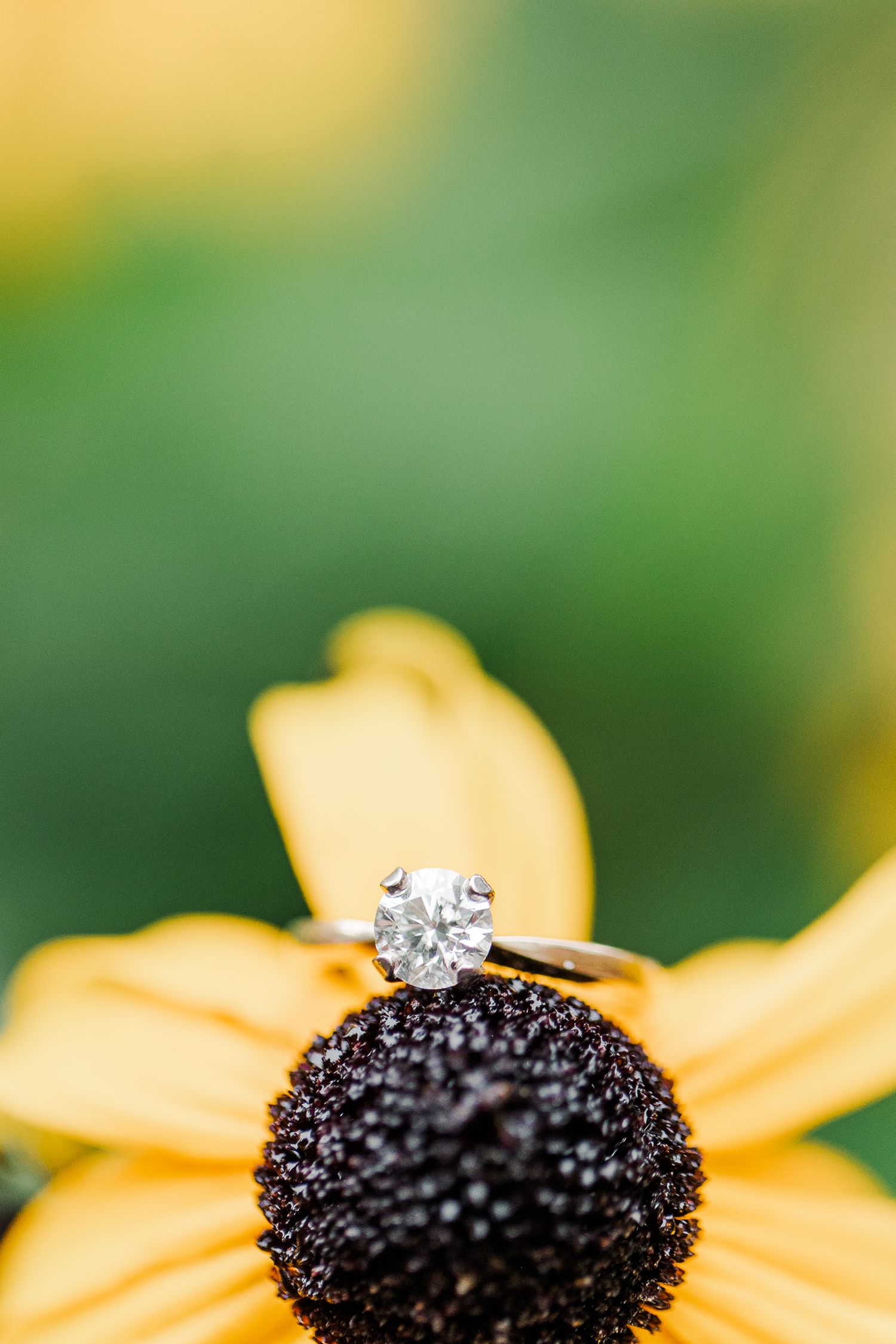 OLD TOWN ALEXANDRIA VIRGINIA ENGAGEMENT PICTURES