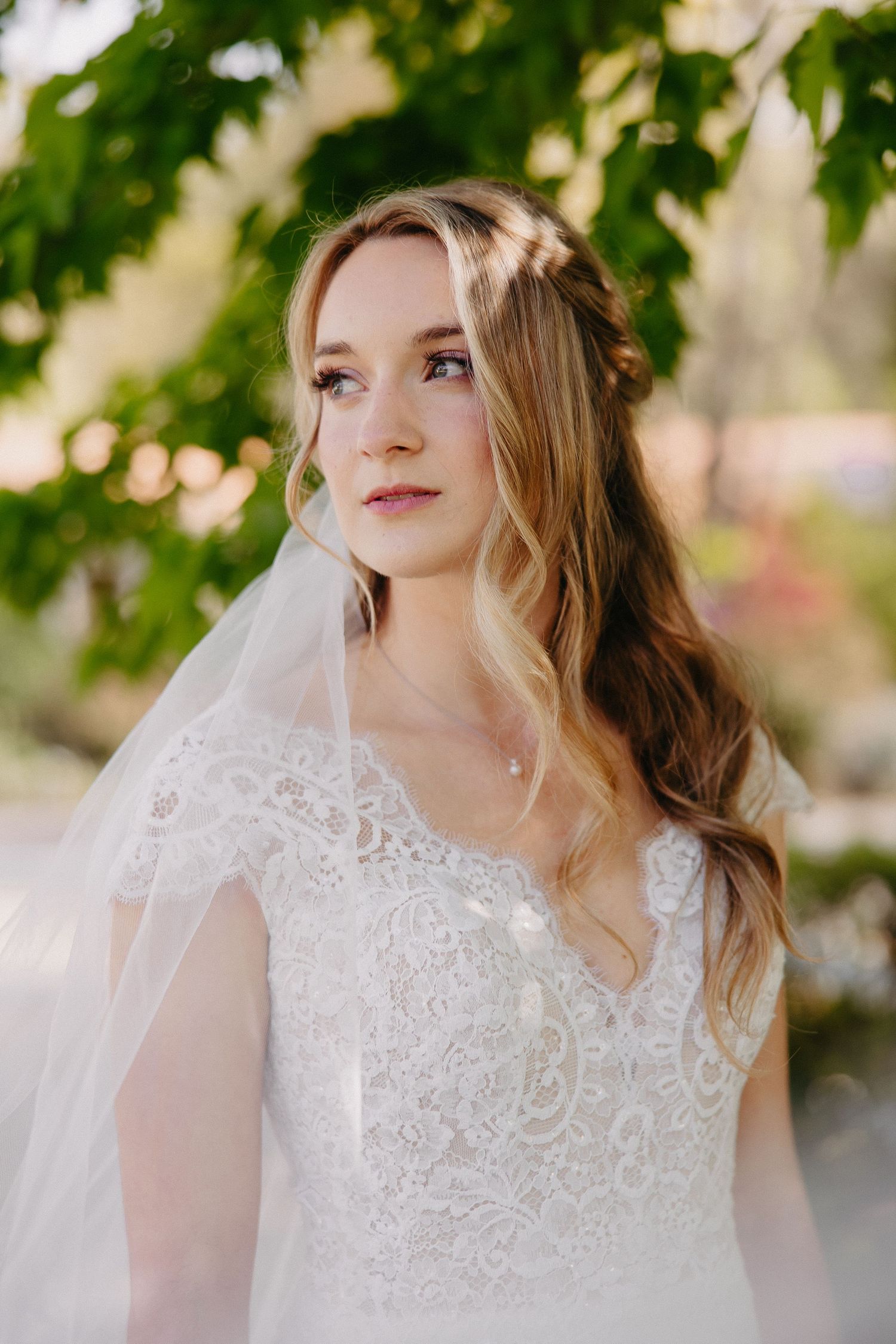 A romantic bridal portrait under green maple leaves showcasing an intricate lace wedding gown.