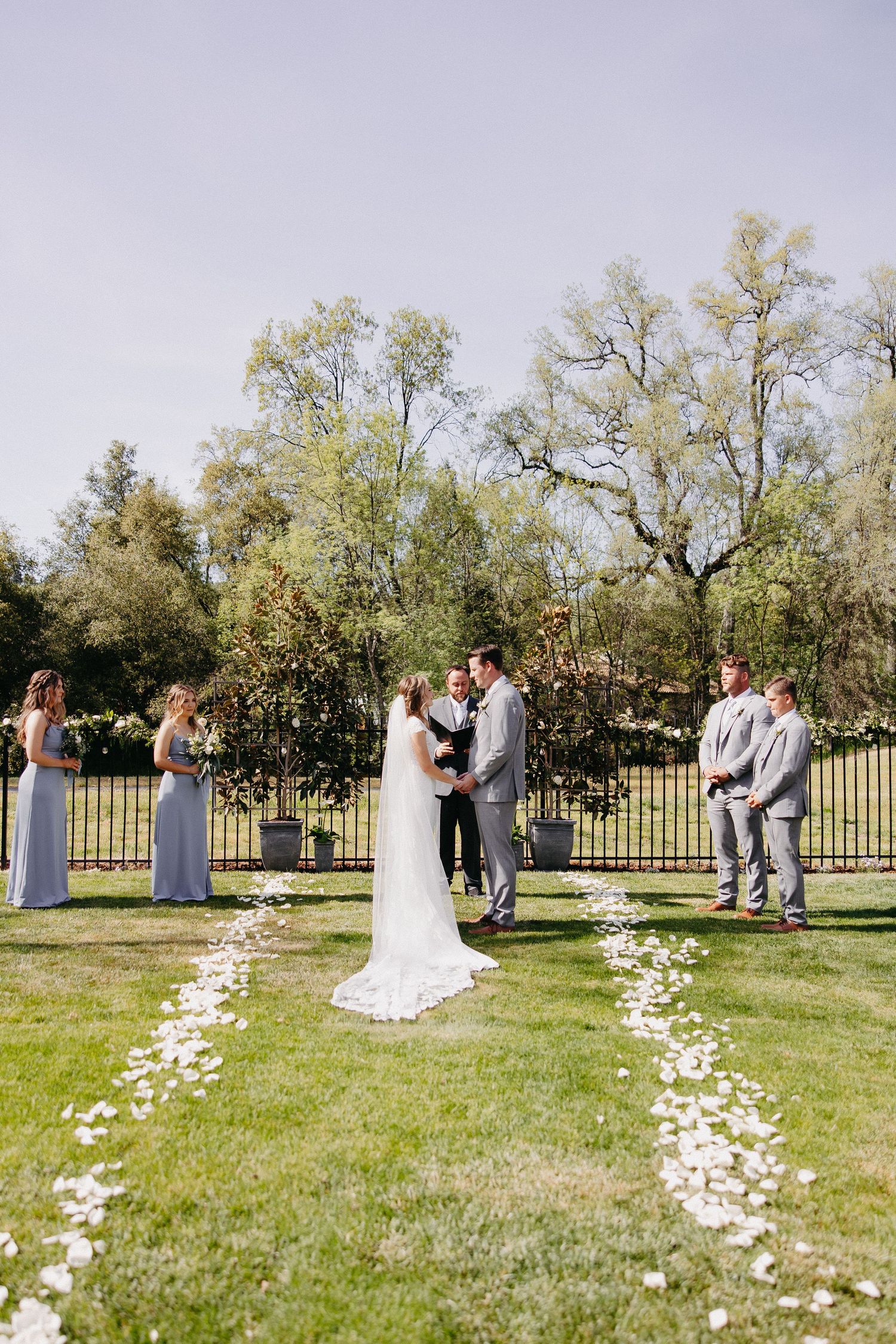 Outdoor wedding ceremony with flower petal aisle and guests standing under tall trees.
