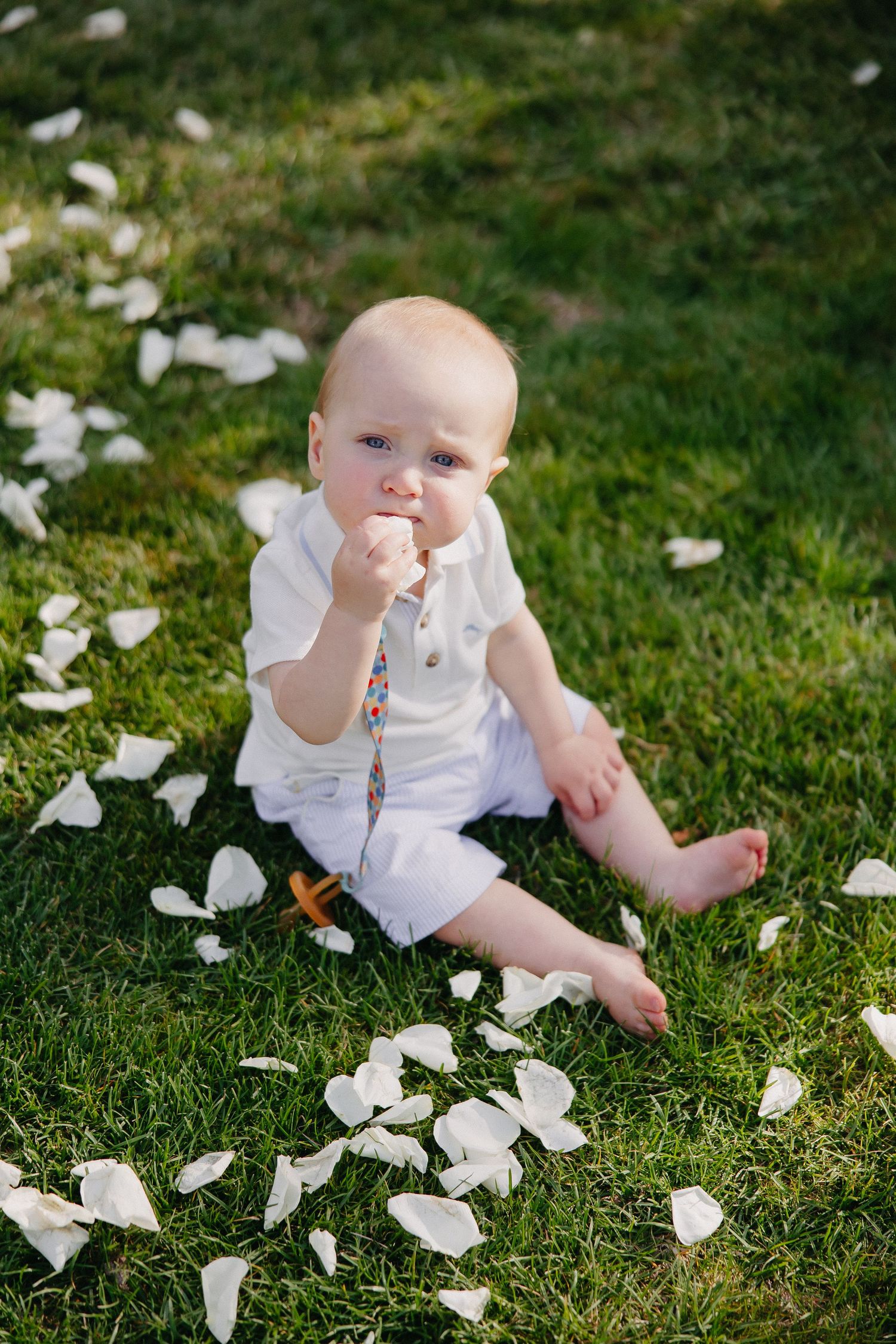 Baby in white outfit sitting on grass among scattered flower petals.