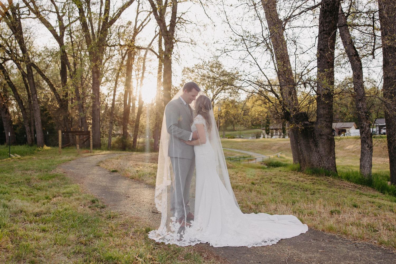 Sunset wedding portrait of a couple embracing on a wooded path with long bridal veil.