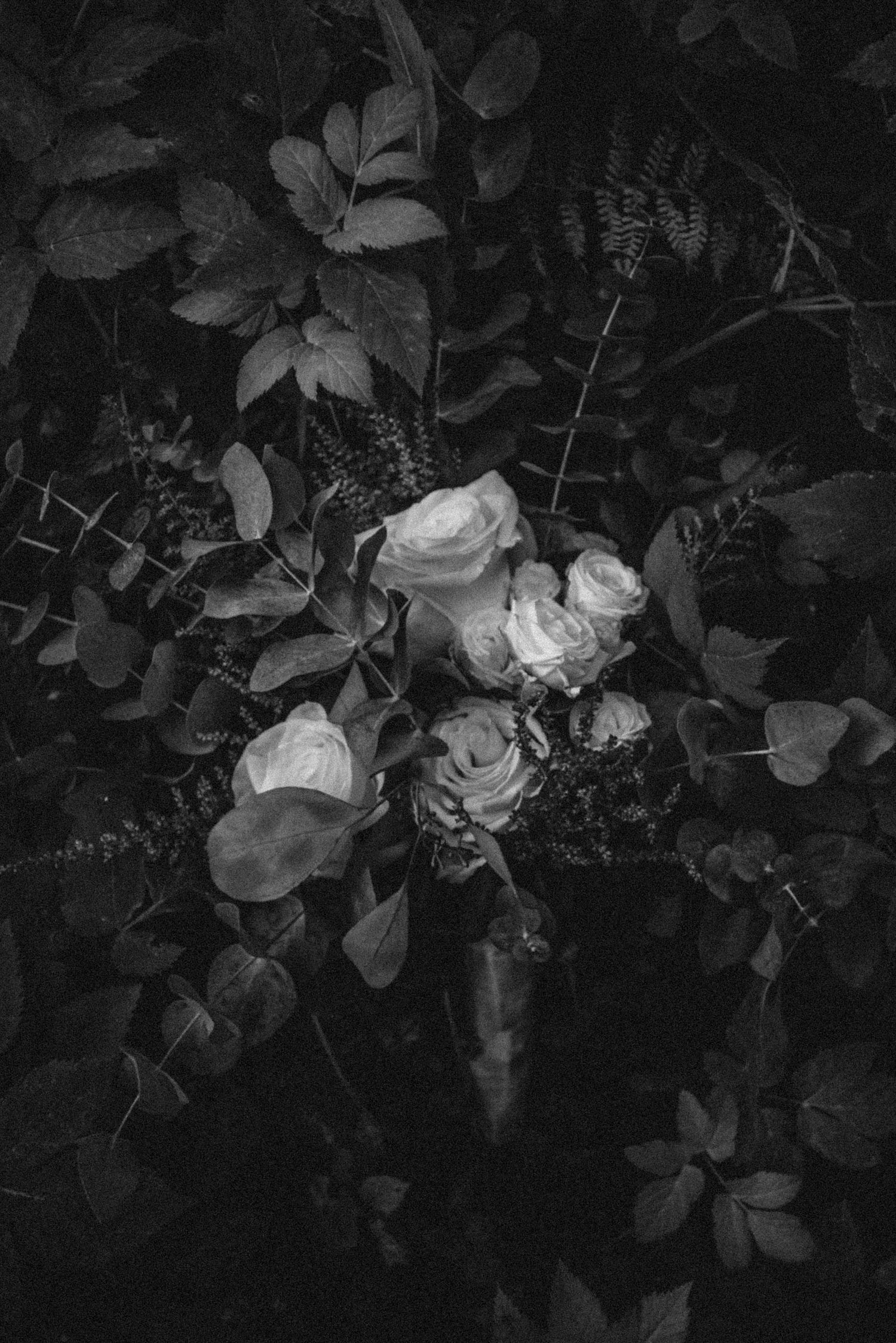 Dramatic black and white floral arrangement with roses and foliage against dark background.