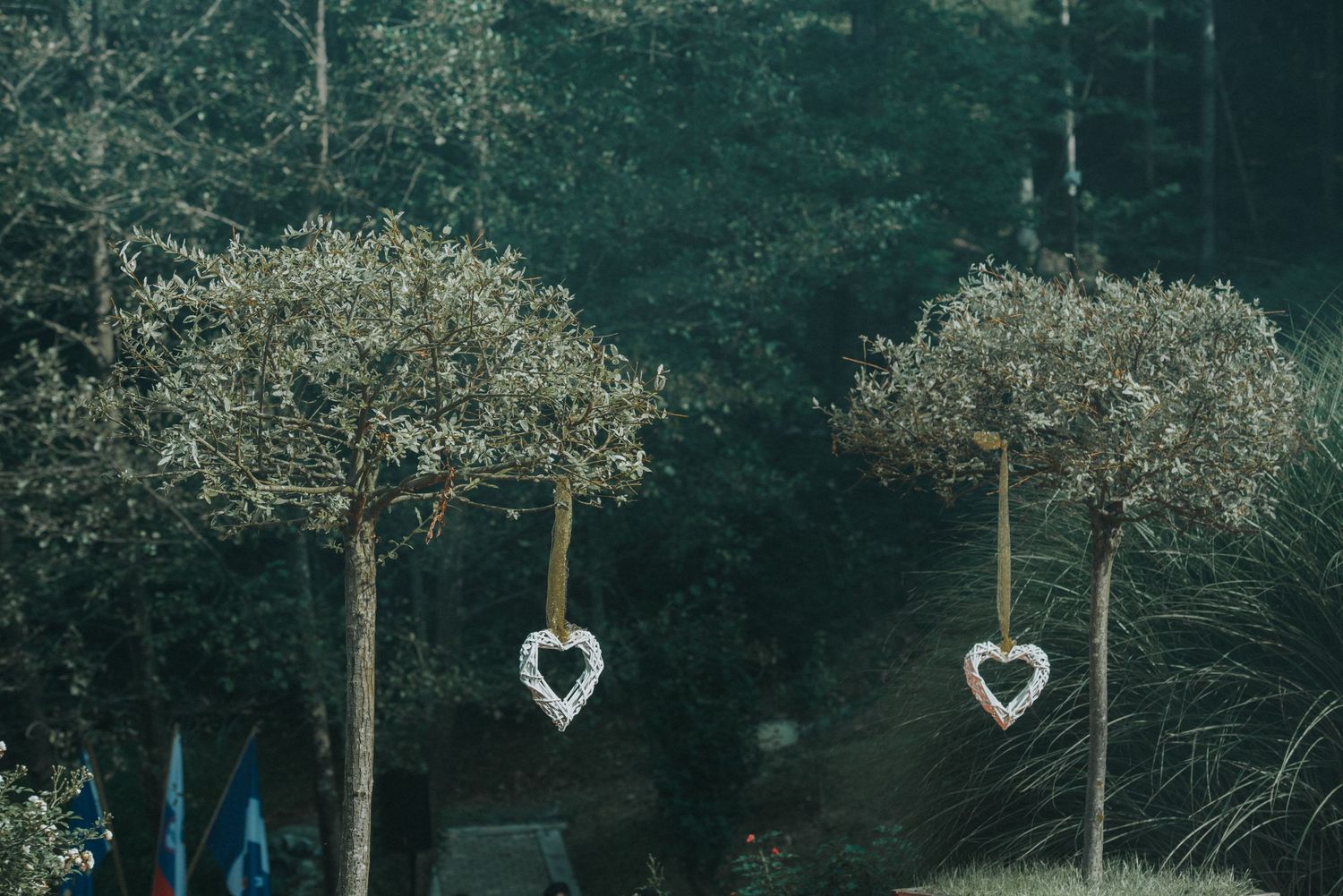 Two decorative heart ornaments hanging between trees in a moody forest setting.