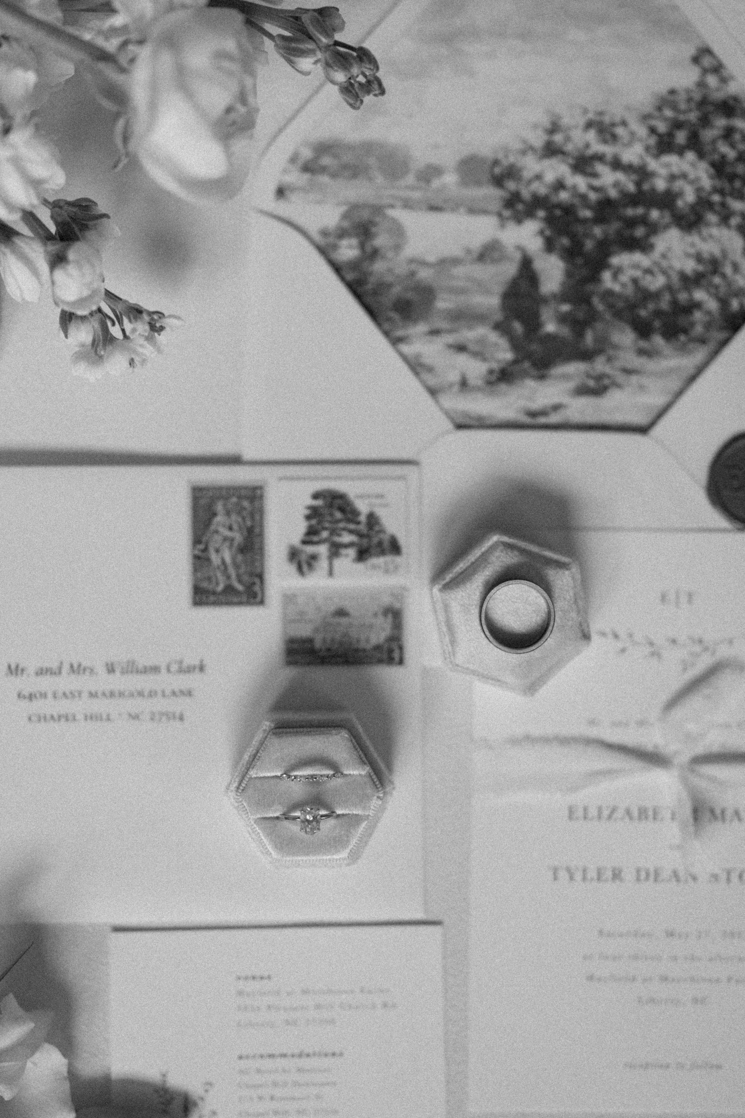 alacarte Willow & Oak Paper Company