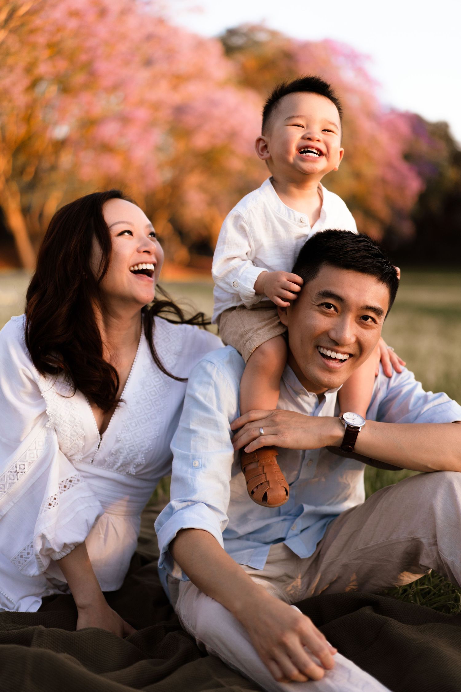family photos sydney