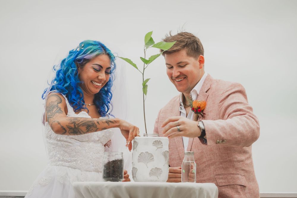 Newlyweds performing unity ceremony with small plant in glass containers.