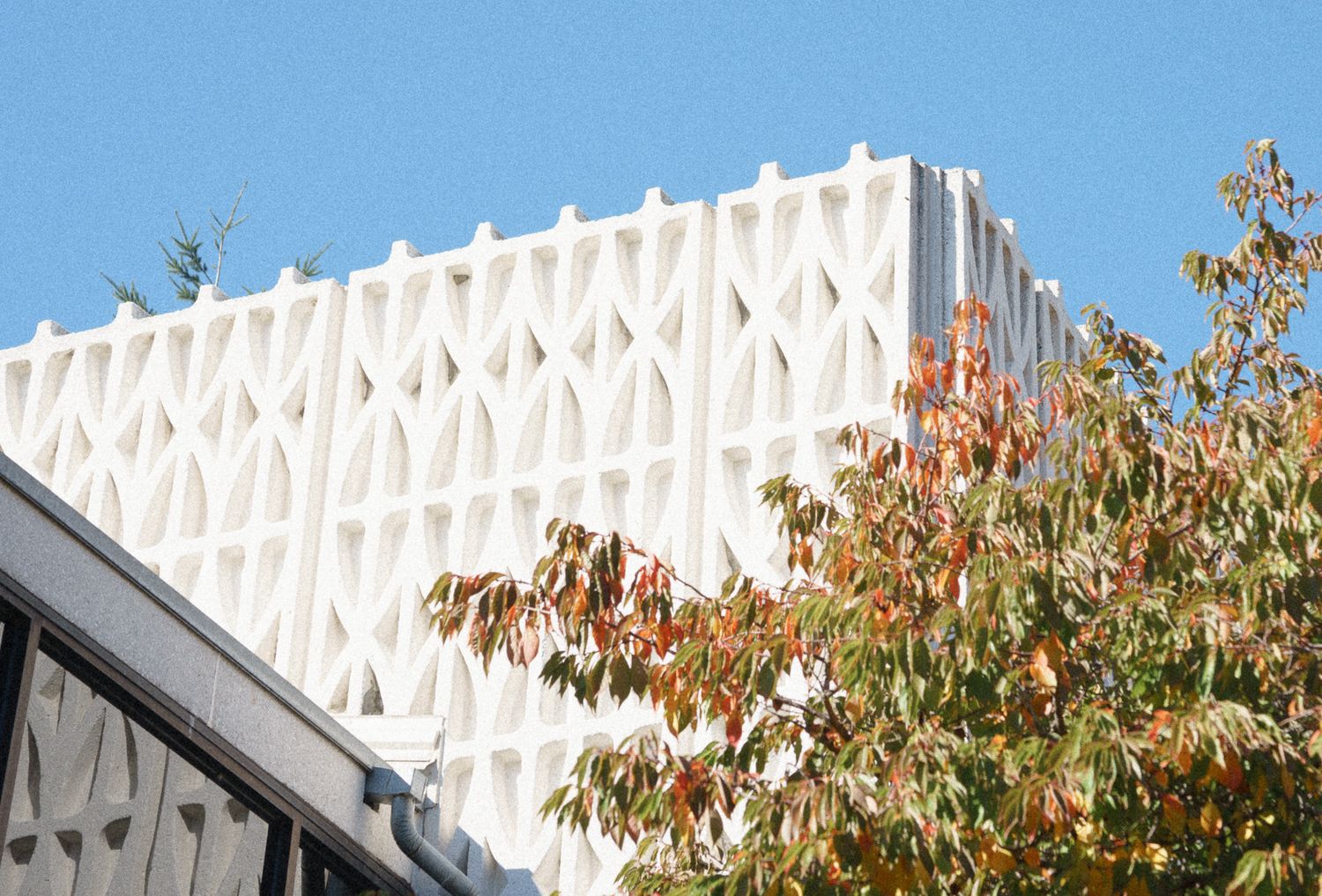 Architectural Photography