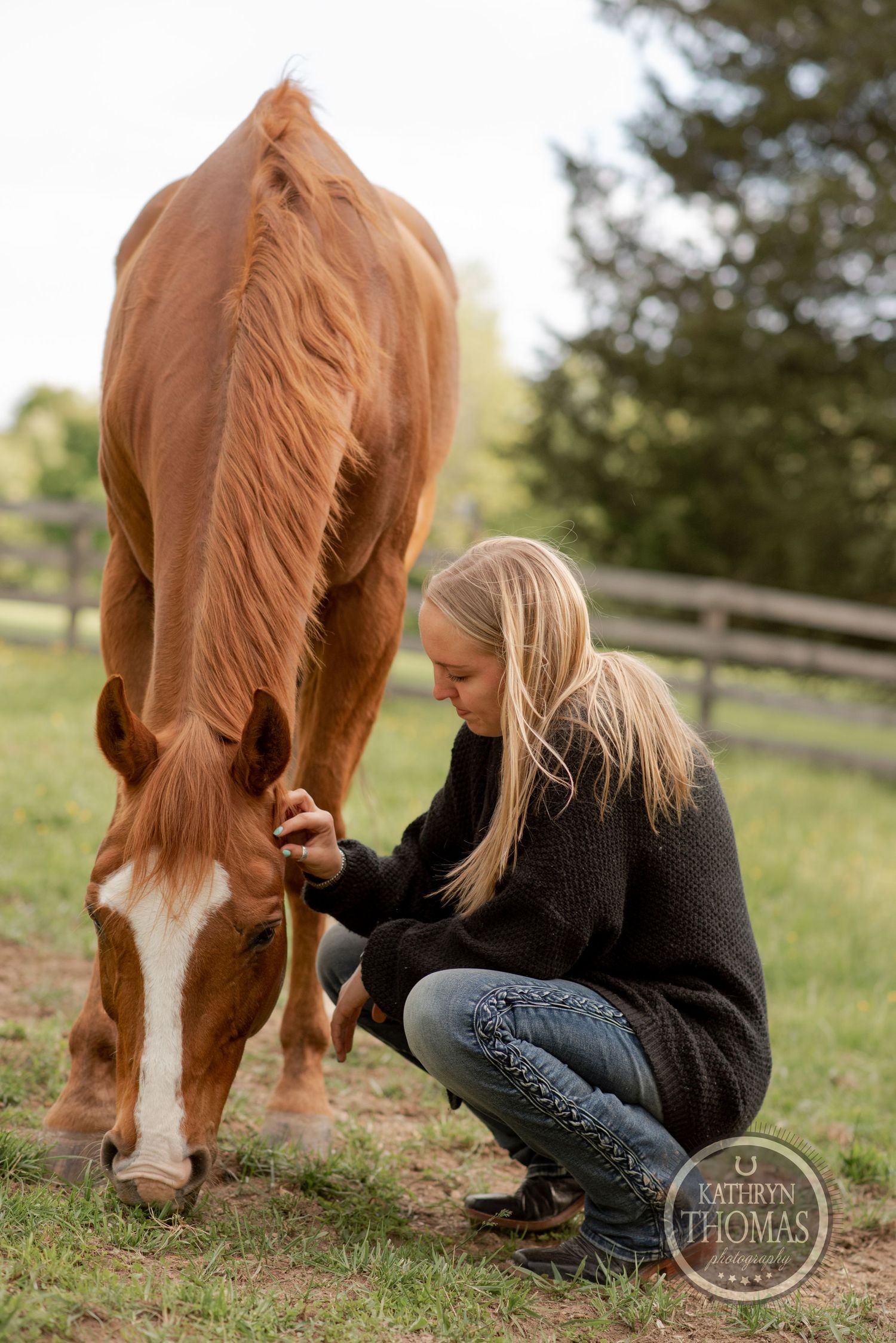 Someone in black kneels beside a chestnut horse in a fenced pasture.