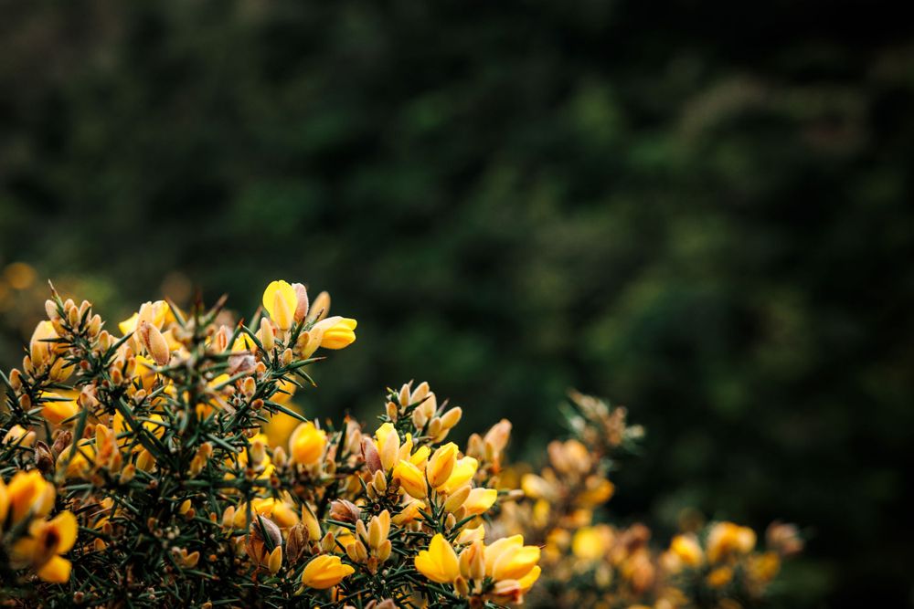 Textures and colours.
