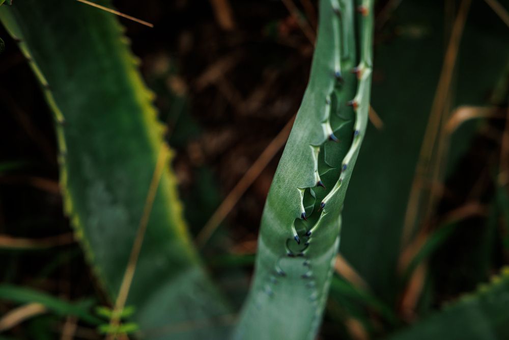 Textures and colours.
