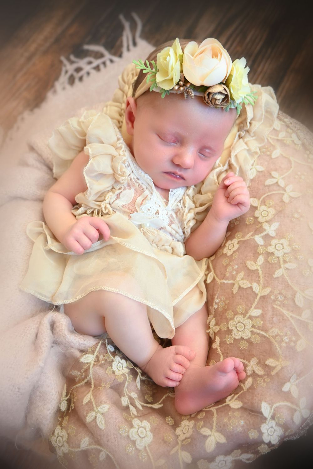 newborn baby elegantly placed for newborn girl/boy photo session