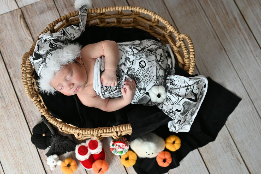 Overhead view of sleeping newborn in woven basket with Halloween themed plush toys.