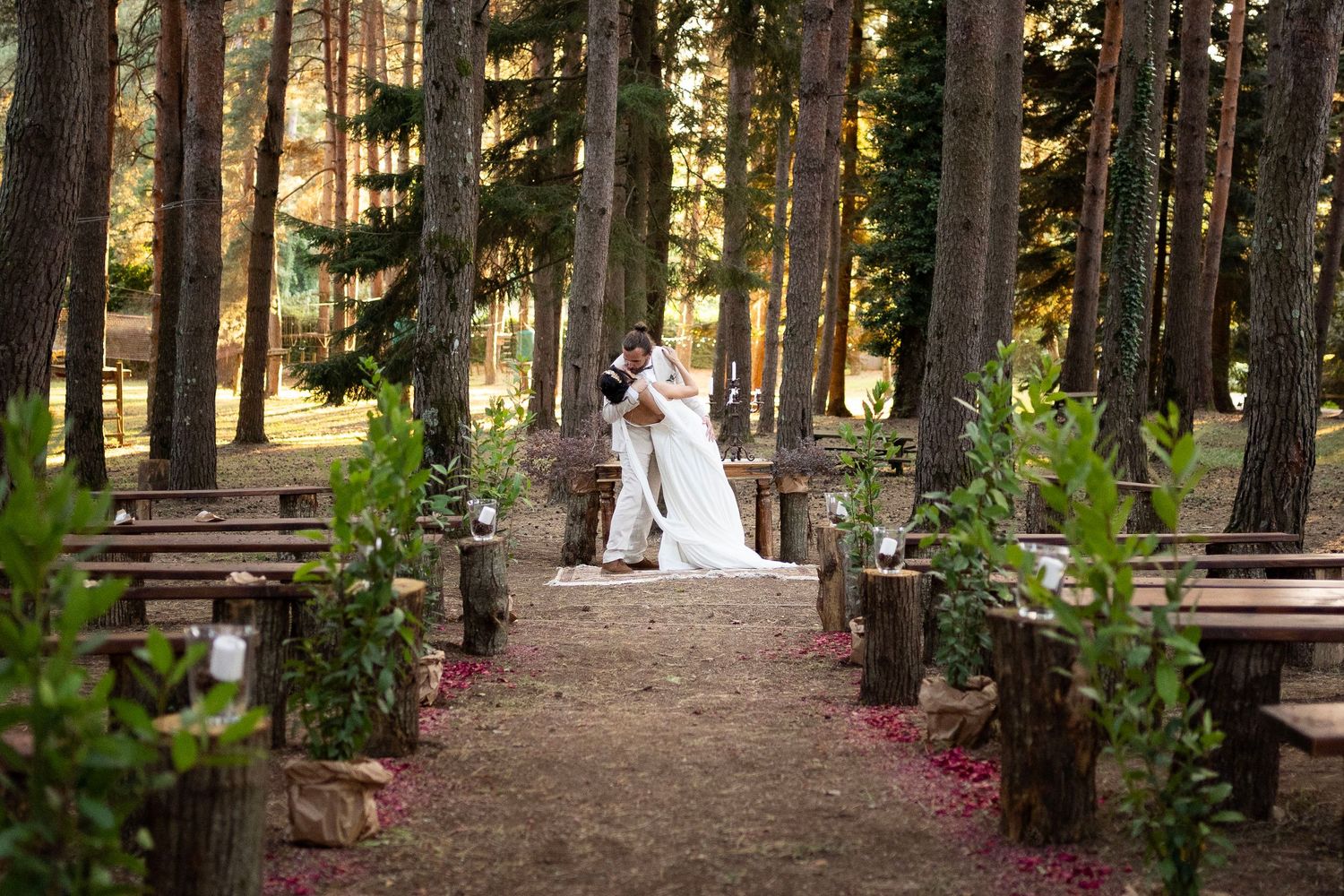 A romantic wedding ceremony setup in a forest with wooden benches lining a pathway between tall pine trees.
