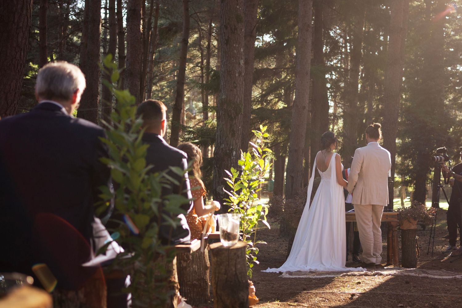 Wedding ceremony in progress amid tall pine trees with golden sunlight filtering through.