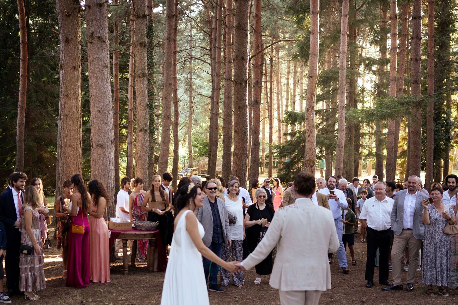A forest wedding ceremony with guests gathered among tall pine trees in golden sunlight.