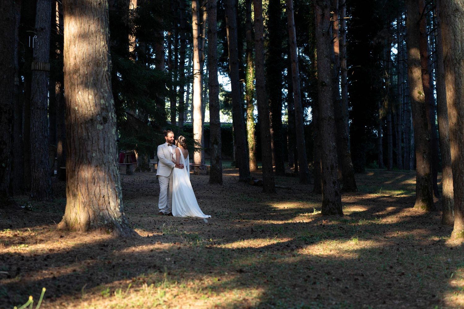 A wedding couple embraces in a serene forest setting with dramatic light filtering through tall trees.