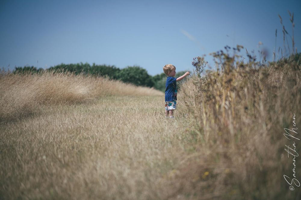 Mersea Beach