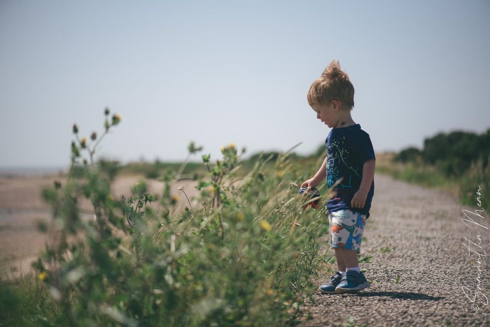 Mersea Beach