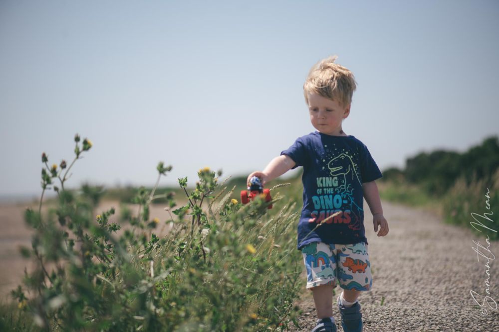 Mersea Beach