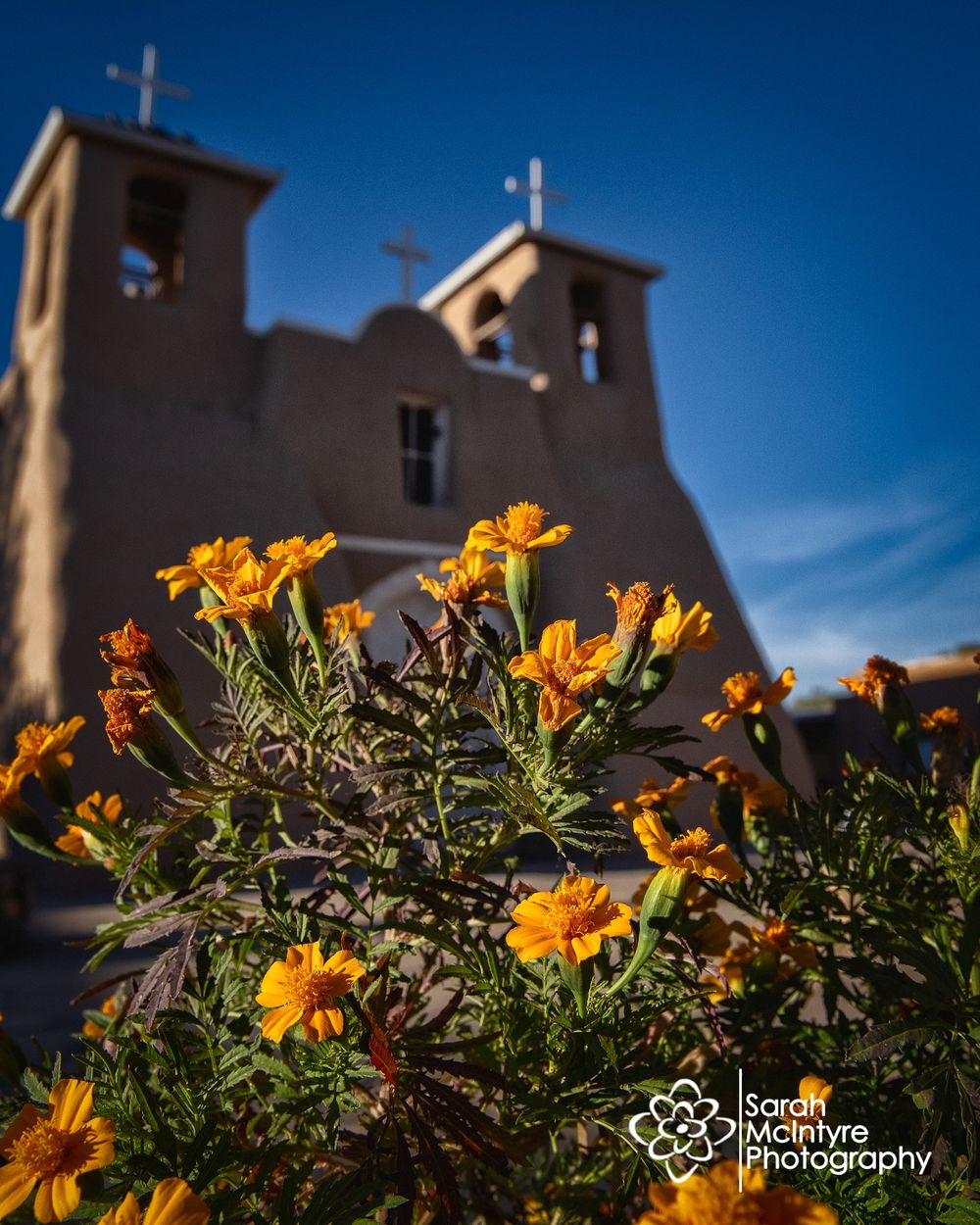 Yellow marigolds blooming in foreground with adobe church towers against deep blue sky.