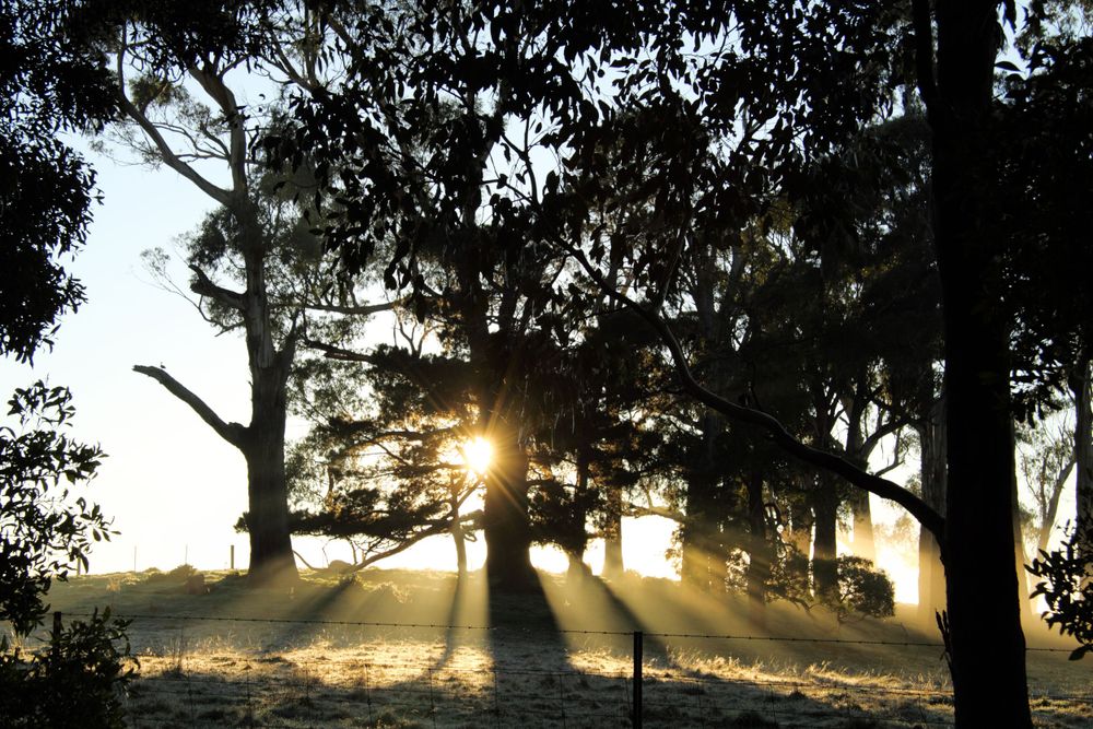 landscape sun rays