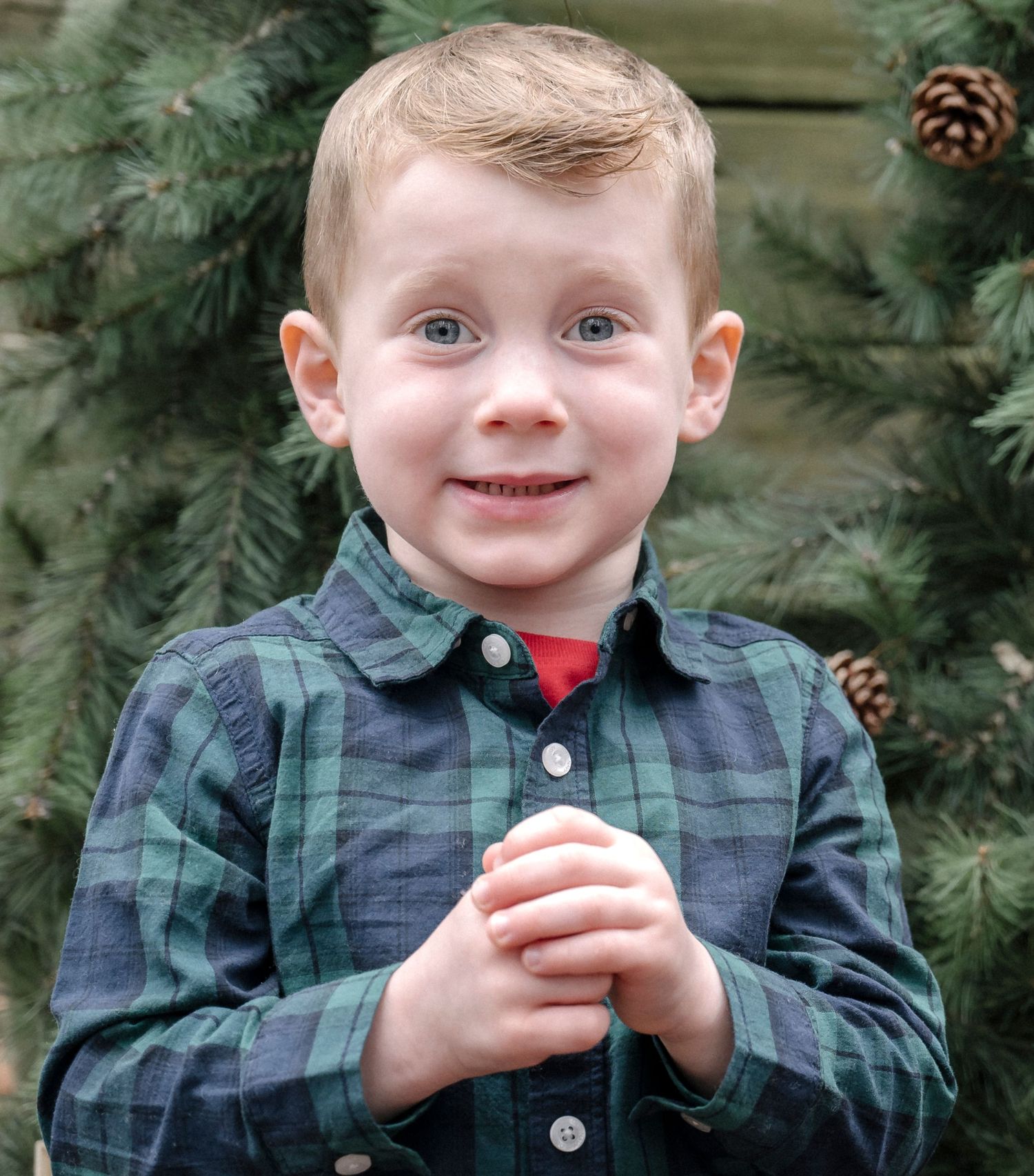 Christmas minis Delaware photography Photographer
