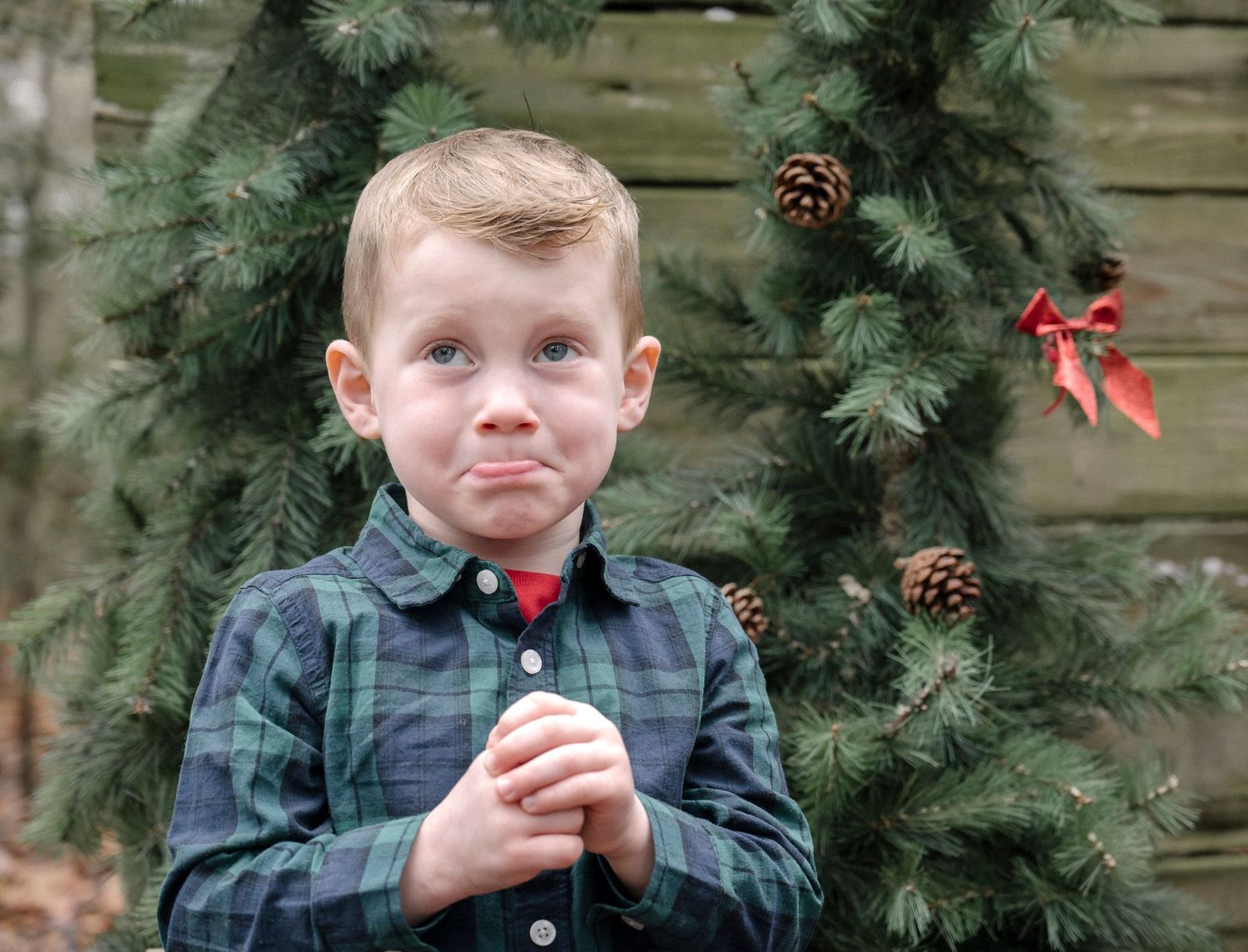 Christmas minis Delaware photography Photographer